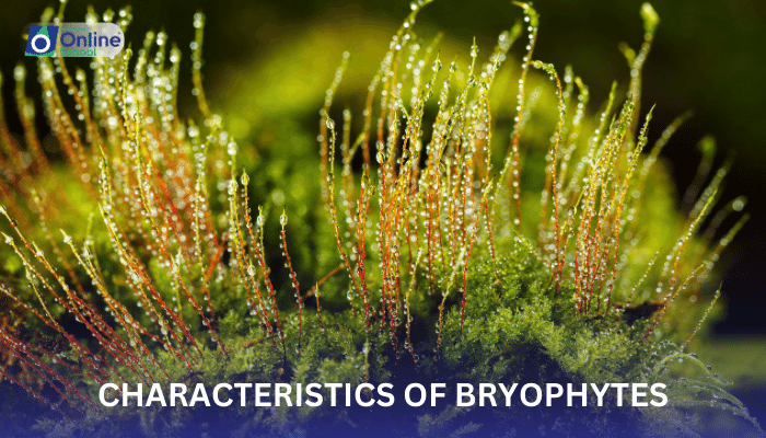 Lesson 03: Characteristics of Bryophytes